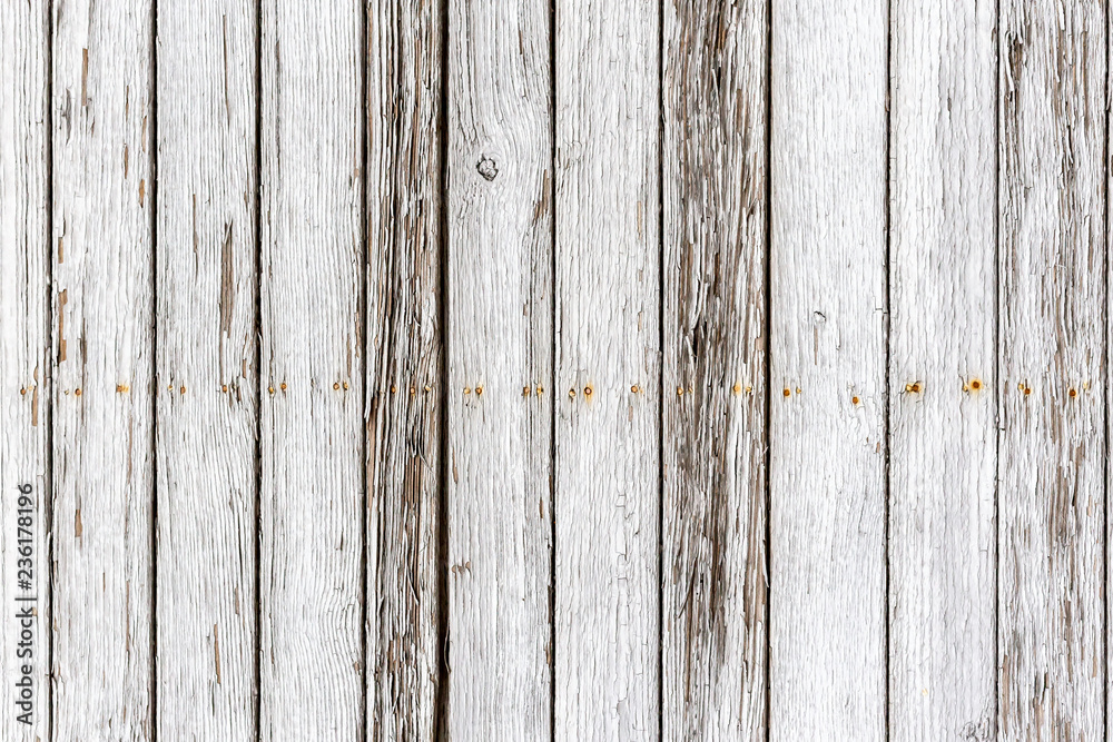 The white wood texture with natural patterns background The white wood texture with natural patterns background