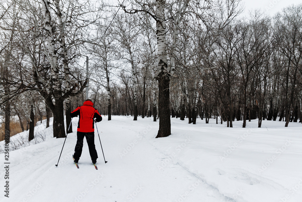 Winter landscape with cross-country skiing tracks, winter forest
