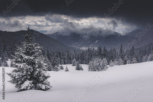 Winter Landscape in mountains. High mountains in clouds. Dramatic sky. View of snow-covered forest. Retro style.