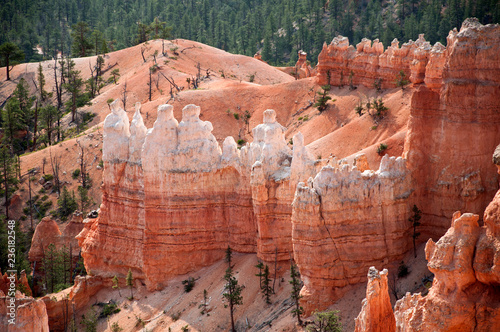 Bryce Canyon, USA, view from lookout point to red rocks with bleached tops