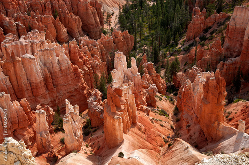Bryce Canyon, USA, view from lookout point, direct downward view