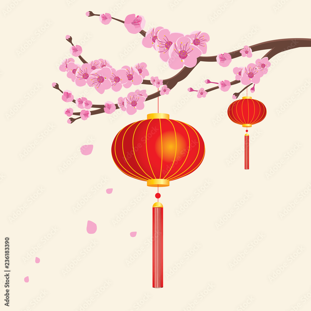 Chinese red lanterns hanging from sakura cherry tree branch Chinese red lanterns hanging from sakura cherry tree branch