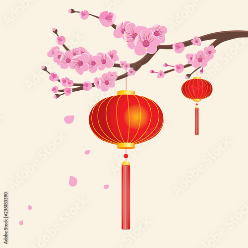 Chinese red lanterns hanging from sakura cherry tree branch