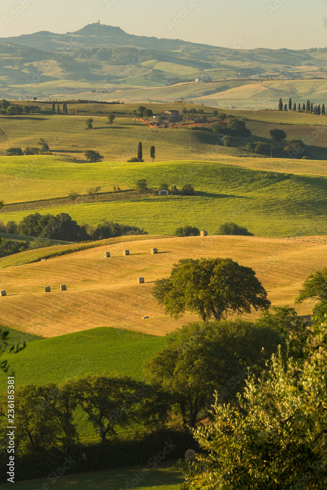 A lovely view over the hills of tuscany in the morhing sun
