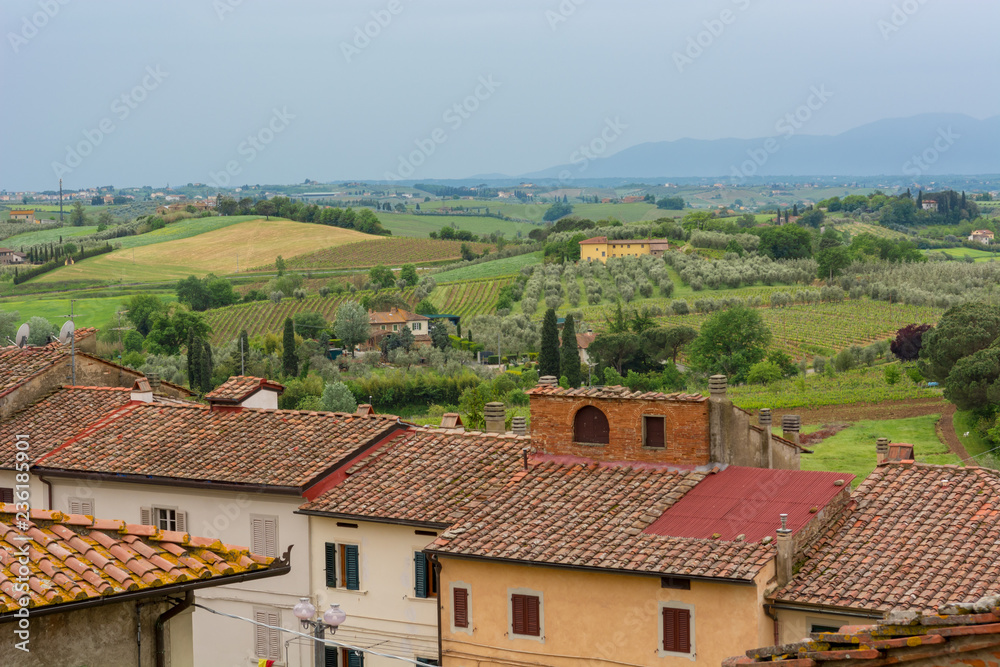 Rooftop view of tuscany countryside with traditional architecture and nature.
