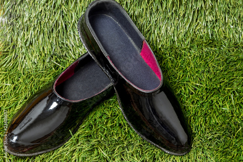 black rubber galoshes lay on a background of green grass