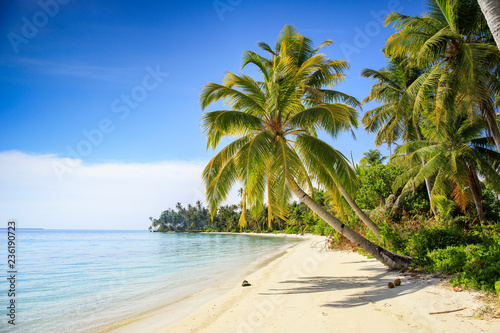 A nice and empty beach in a tropical desert island of Sumatra, Indonesia. Blue sky, white sand and coconut trees, a dream holiday place to relax, ses, a dream holiday place to relax, snorkel and rest.