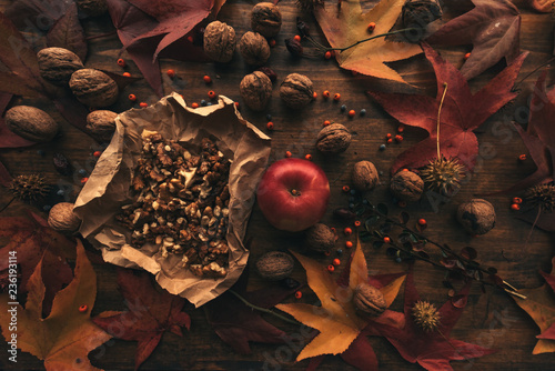 Autumn fruit, apple and walnuts