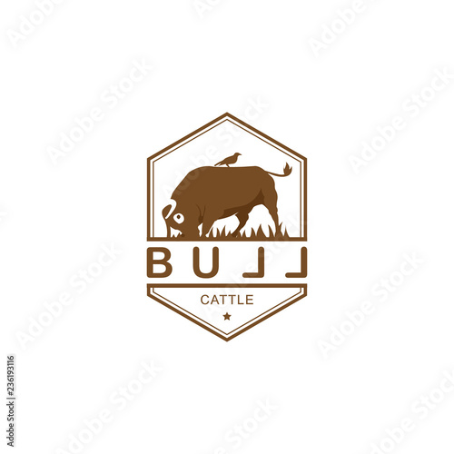 Vintage cattle / buff and bird logo template with hexagonal shape vector design