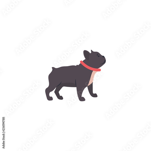 Vector illustration. Funny cartoon style icon of french bulldog for different design. Cute family dog.