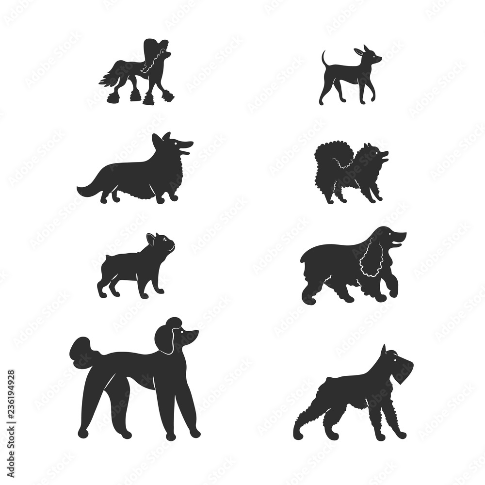 Vector illustration. Set silhouette icons of dogs. Popular breeds: spitz, french bulldog, english cocker spaniel, chinese crested, royal poodle, mittelschnauzer, corgi, russian toy terrier.