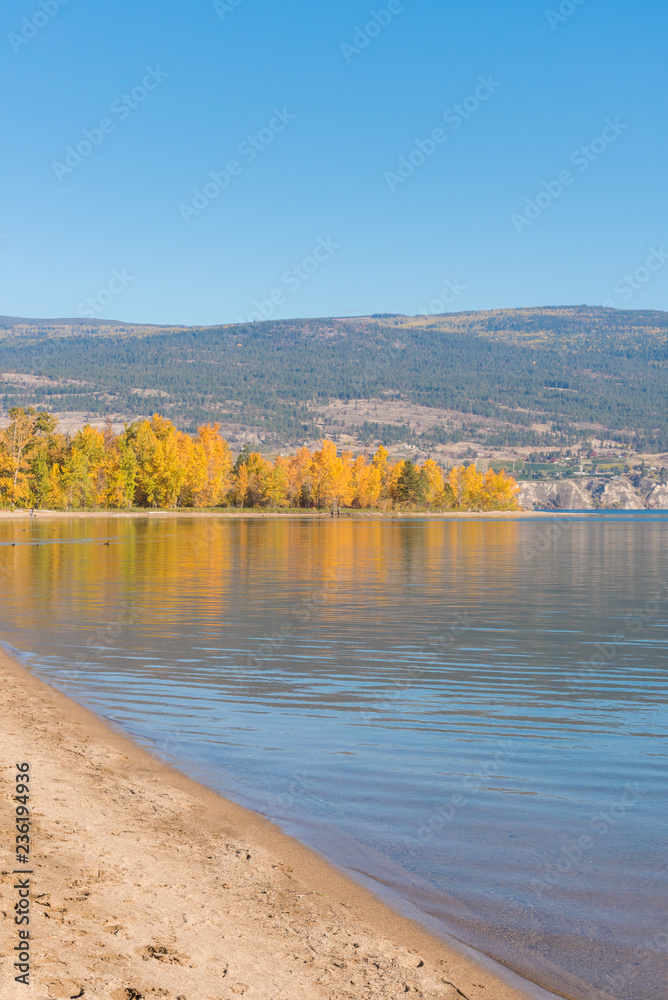 Sandy beach and calm lake with yellow autumn trees and blue sky
