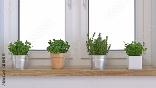 Fotografie Spices in a pot on a window sill, rosemary, parsley and peppermint