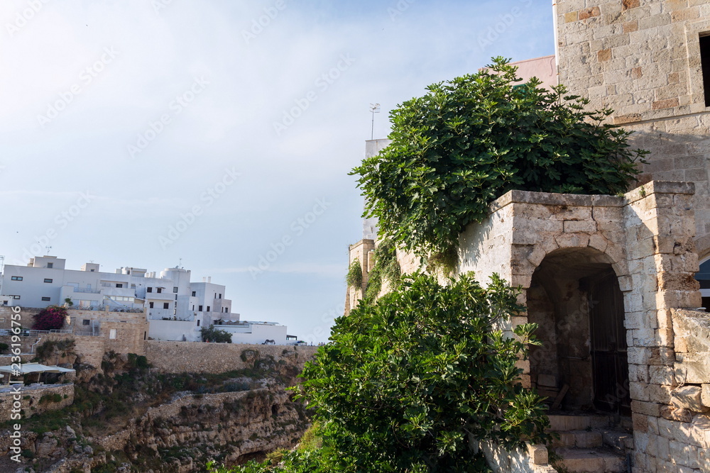 Stairs with an overgrown passage to old town in historic center over lovely beach Lama Monachile in Polignano a Mare, Italy, Adriatic Sea, Apulia, Bari province
