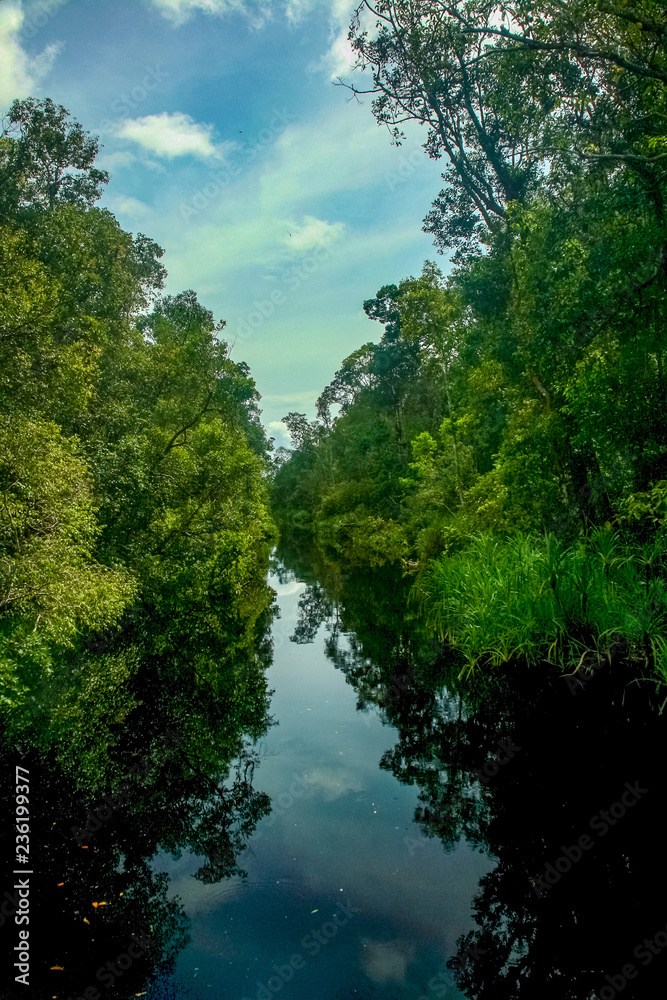 Reflections of the sky and dense, lush tropical jungle in the Sekonyer River in Tanjung Puting National Park, in Central Kalimantan, Indonesian Borneo Reflections of the sky and dense, lush tropical jungle in the Sekonyer River in Tanjung Puting National Park, in Central Kalimantan, Indonesian Borneo