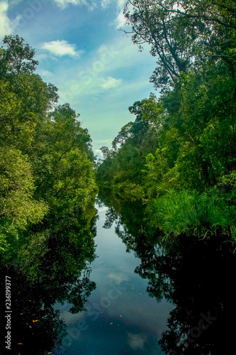 Reflections of the sky and dense, lush tropical jungle in the Sekonyer River in Tanjung Puting National Park, in Central Kalimantan, Indonesian Borneo
