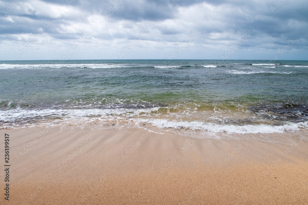 beach and sea in hawaii