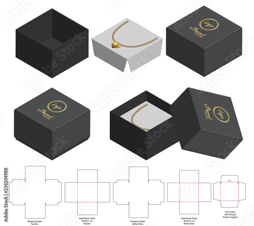 Box packaging die cut template design. 3d mock-up