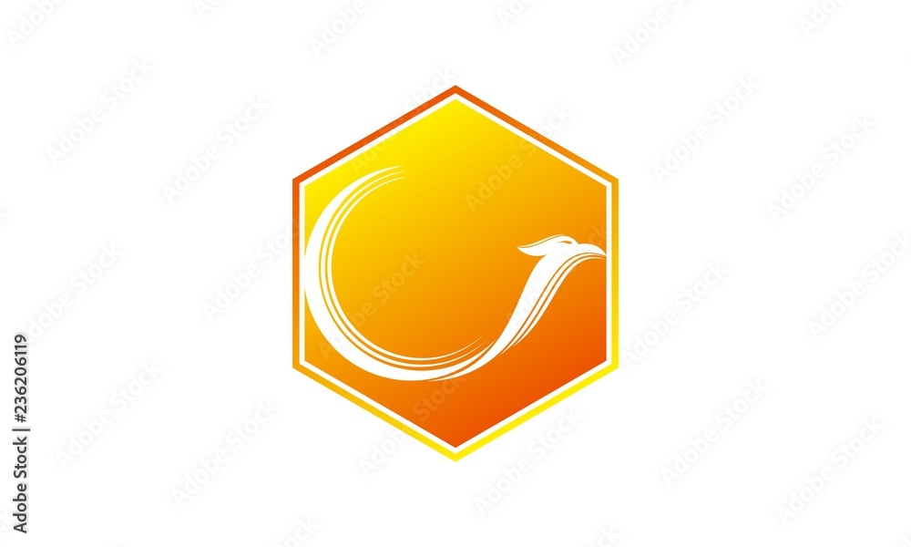 Dragon and polygon logo