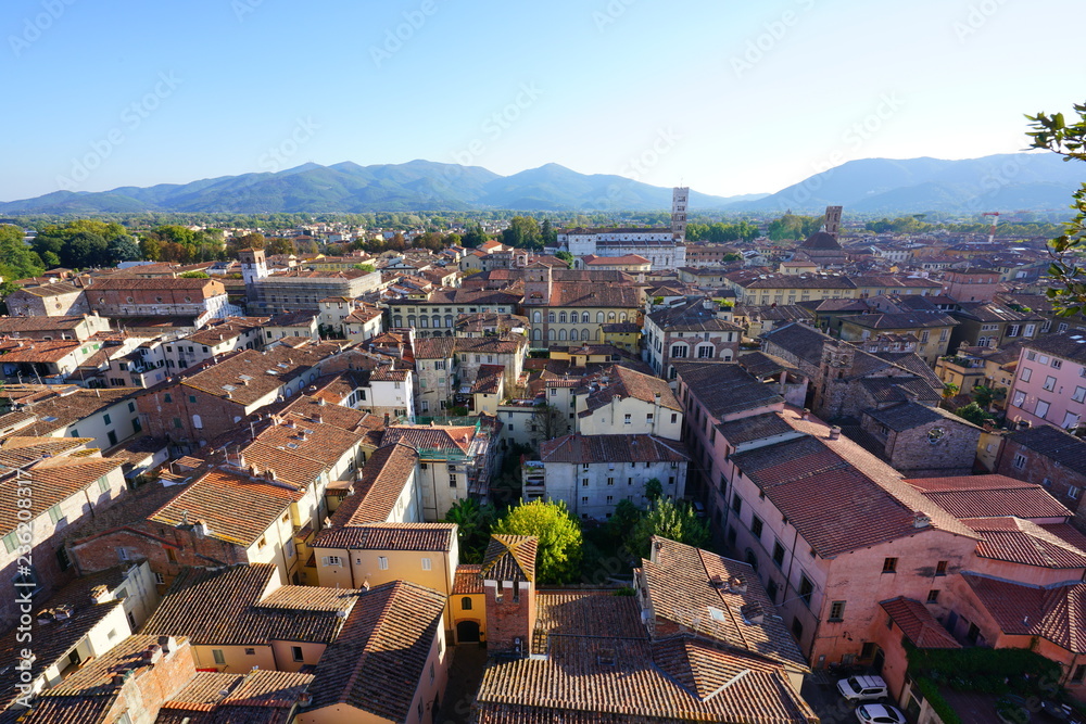 LUCCA,  Landscape view of Lucca, a historic city in Tuscany, Central Italy, seen from the top of the landmark Torre Guinigi tower