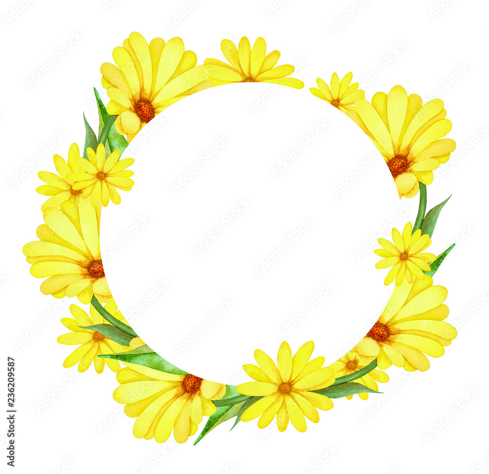 Illustration of watercolor hand drawn round frame with yellow wildflowers and green leaves. Exotic flower. Spring and summer romantic floral background. Illustration of watercolor hand drawn round frame with yellow wildflowers and green leaves. Exotic flower. Spring and summer romantic floral background.