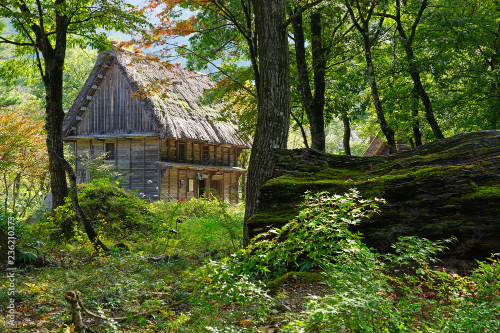 View of a traditional Gassho Zukuri wooden house in the traditional folk village located in the Ryohaku Mountains, Gifu Prefecture. It is a UNESCO World Heritage Site. View of a traditional Gassho Zukuri wooden house in the traditional folk village located in the Ryohaku Mountains, Gifu Prefecture. It is a UNESCO World Heritage Site.