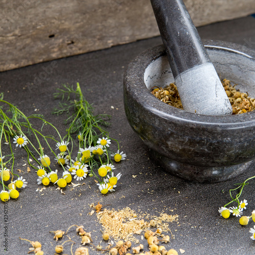Chamomile Tea making - with fresh and dried chamomile flowers together with mortar and pestle