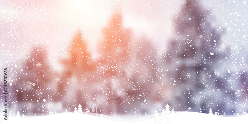 Winter Christmas background with landscape  forest  snowflakes  light  stars. Xmas and New Year card. Vector Illustration