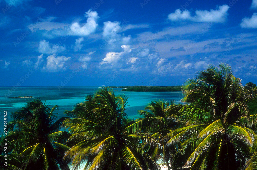 Tropical Isla Contoy Island off the coastline of Cancun, Mexico