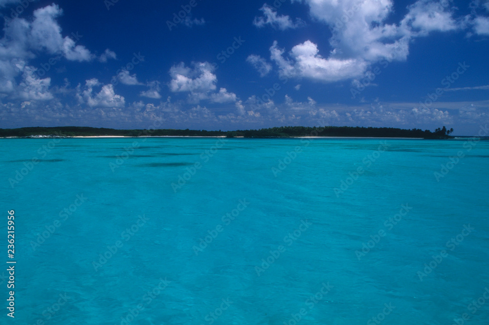 Tropical Isla Contoy Island off the coastline of Cancun, Mexico