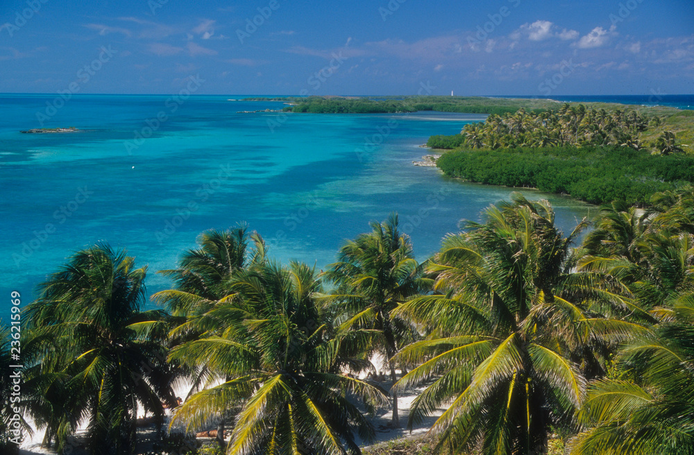 Tropical Isla Contoy Island off the coastline of Cancun, Mexico