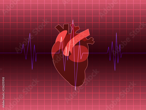 A heart rate run through heart organ on background