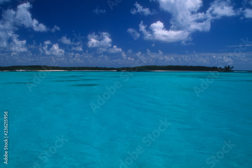 Fototapeta Naklejka Na Ścianę i Meble -  Tropical Isla Contoy Island off the coastline of Cancun, Mexico
