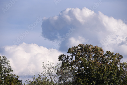 Cloudy fall Saturday in suffolk county photo