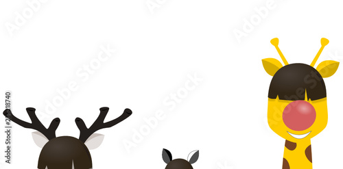 Zoo Tiere