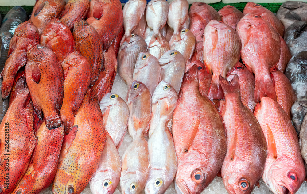 Red snapper and red mullet for sale at a market