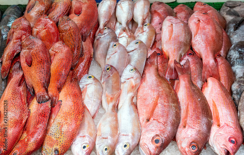 Red snapper and red mullet for sale at a market photo