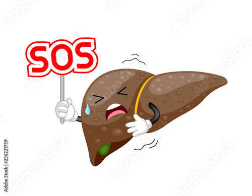 Liver cartoon character holding SOS sign. Internal organ requires care or medical treatment due to disease or impact of adverse on health. health care concept. 