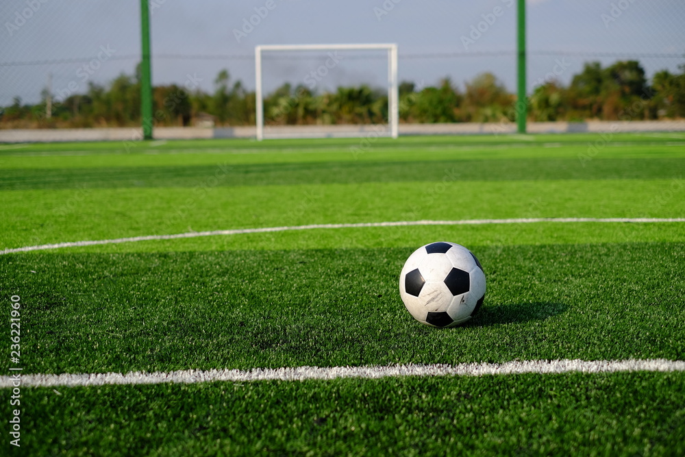 Soccer football on green grass field and goal post Soccer football on green grass field and goal post