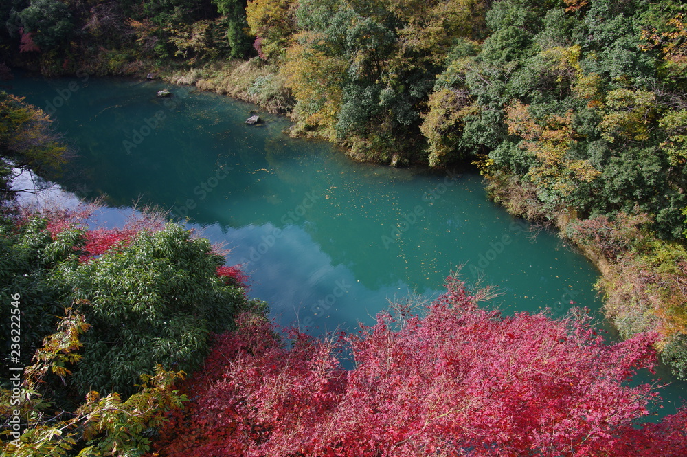 紅葉と湖