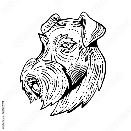 Airedale Terrier Head Etching Black and White