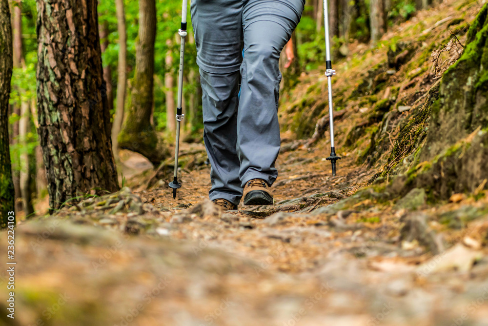 Young girl woman Hiking schoes and sticks detail view in the forest outdoor activity in nature Young girl woman Hiking schoes and sticks detail view in the forest outdoor activity in nature