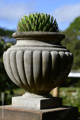 beautiful pot