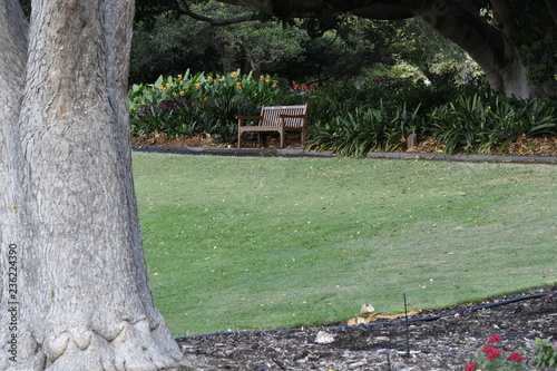 wooden bench in a garden