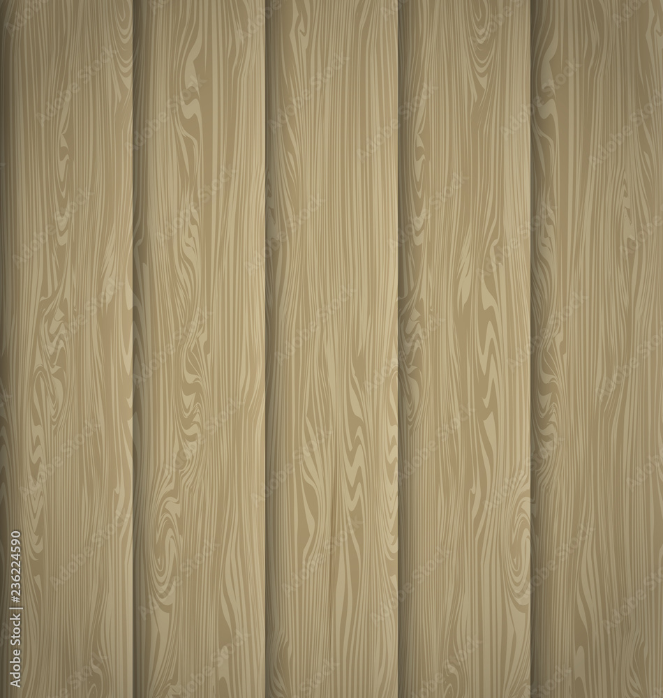 Fototapeta premium Vector wooden texture5