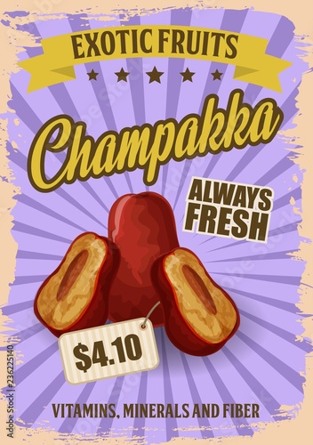Champakka exotic tropical fruit, vector price