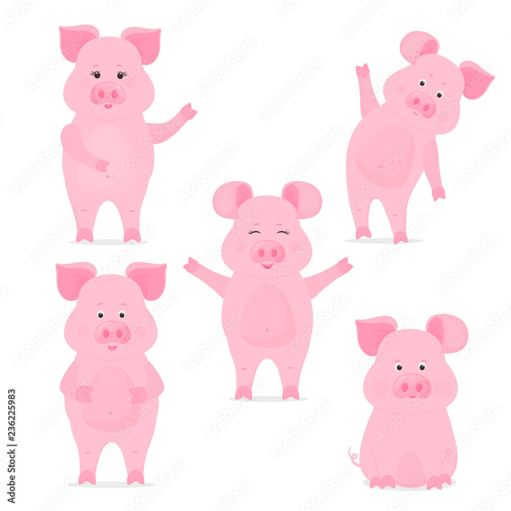 A set of cute piggy characters in different poses, sitting, standing, hand up and down. Funny pig. Chinese New Year