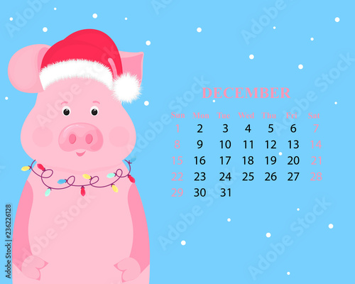 Monthly calendar for December 2019. Cute pig in a hat of Santa Claus with a garland. Chinese New Year.