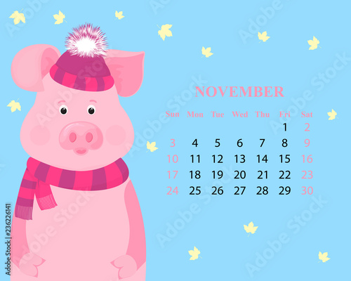 Monthly calendar for November 2019 . Cute pig in a striped hat with a fluffy pompon and scarf. Chinese New Year.