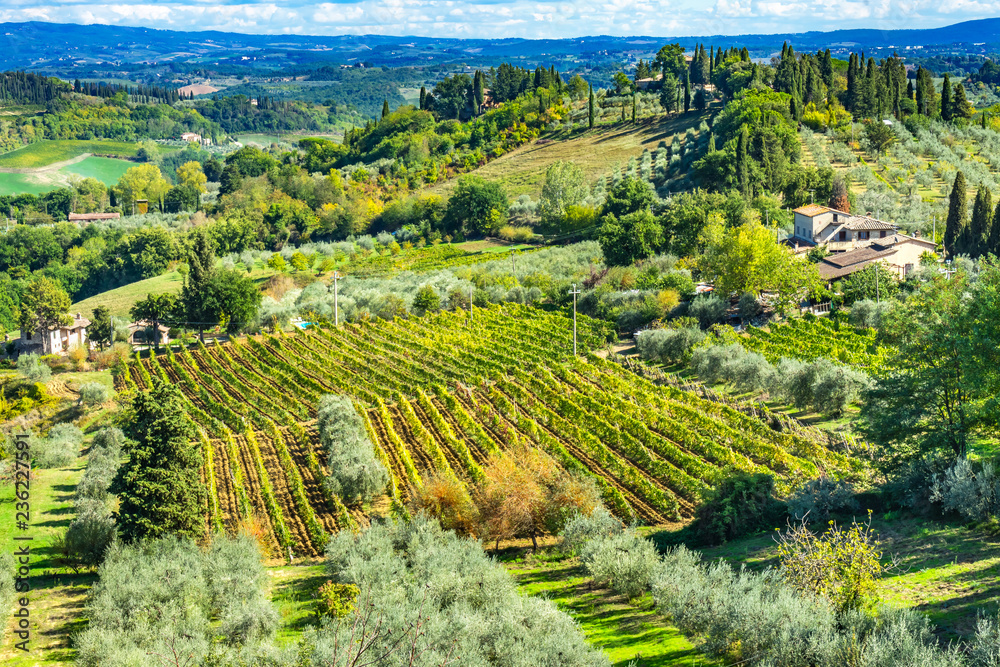 Tuscan Farm Vineyard San Gimignano Tuscany Italy
